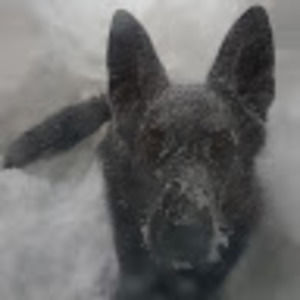 Meet your Posher, Brent